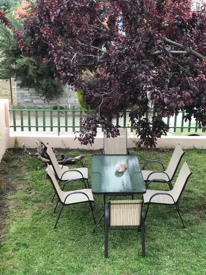 Dimitra'S And Nasia'S Villa Psakoudia Exteriör bild